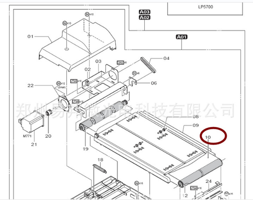 frontiera 550 di Fuji della cinghia della sezione di ritorno di 323D1061533 323D1061533E 570 minilab di LP5500 LP5700 fornitore
