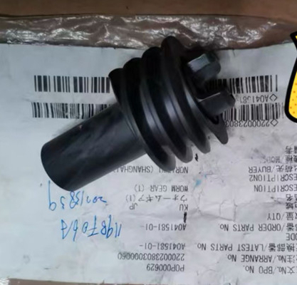 Ingranaggio a vite A041581-01 A041581 del pezzo di ricambio di Noritsu Minilab fornitore