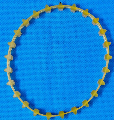 323G03105 cintura di orologeria 25 denti per Fuji FP362 FP363 FP562 FP563 Minilab film processore ricambio fornitore
