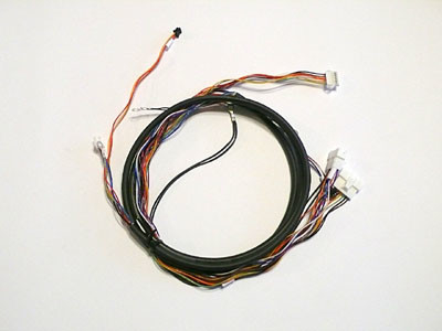 Assy del cavo per Noritsu Minilab W410489-01 fornitore