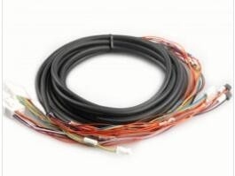 W410490 01 W412850 01 W410490 W412850 Noritsu QSS 3201 cavo del braccio destro del pezzo di ricambio di 3202 3203 Minlab fornitore