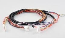 W410490 / Cavo W412850 per il minilab di Noritsu QSS32 fornitore