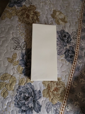 Filtro dell'aria per la frontiera 350 di FUJI un numero del pezzo 374D890141A 374D890141 di 355 370 375 390 Minilab fornitore