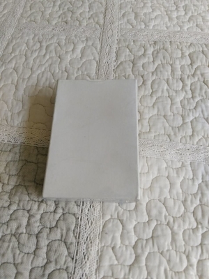 Filtro dell'aria per la frontiera 500 di Fuji un numero del pezzo 138D1058122 138D1058122B di 550 570 Minilab fornitore
