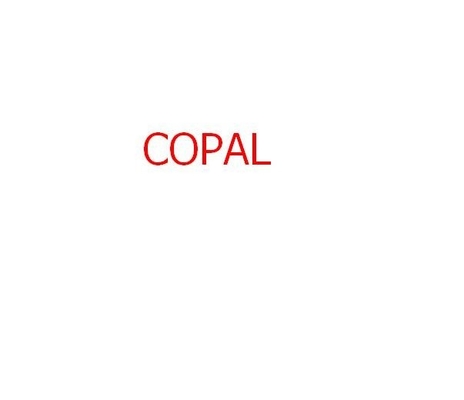 filtro chimico per copale 6030/6550 di minilab 140x22x35mm fornitore
