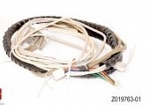 Parte del minilab di Noritsu # CORREDO UNITO dell'ANALIZZATORE Z019763-01 (1.5M) fornitore