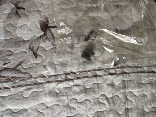 A047651 01 A035153 01 DENTATURE 24 PER NORITSU Qss1901 2201 2601 3001 3300 3501 Minilab fornitore